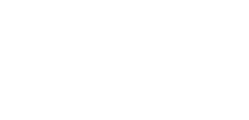buhler.pro Logo